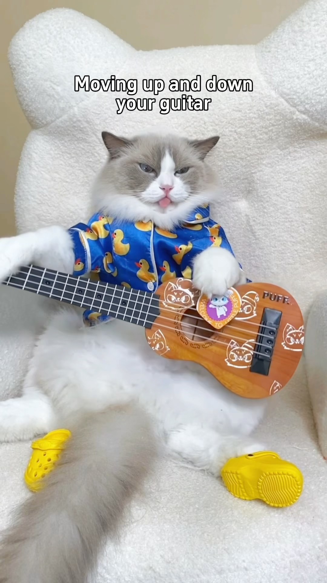 Learn to strum some tunes with Puff, the coolest feline guitarist! #PuffTheGuitarist #thatlittlepuff