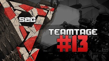 SEG Teamtages - SEG™ | Multi-Cod Teamtage | #13 by mike