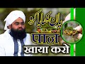 Paan khaya karo  exploring the remarkable benefits of betel leaf by sayyed aminul qadri