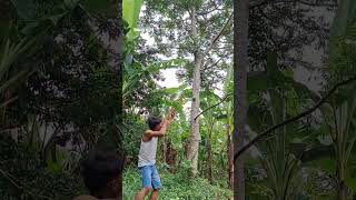 Catch A Strange Bird