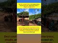 The Natural 'Desi AC' Helping Rajasthan Beat 45°C Heat #viral #news #shorts