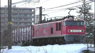 EF510-14牽引高速貨物【4K】信越本線上り4076レ