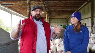 Curator's Chat: Tewes Farm