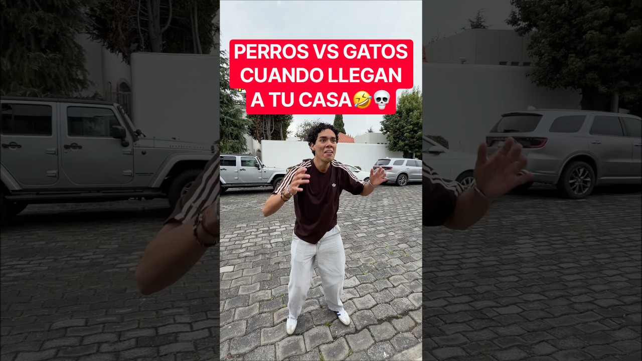 PERROS VS GATOS CUANDO LLEGAN A TU CASA🤣💀