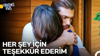 Download Lagu 40 Dakikada Can Sanem'e Aşık Oluyor 💛 - Erkenci Kuş MP3