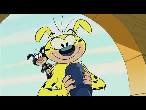 NOUVELLE SÉRIE : Nos Voisins les Marsupilamis ! 💛🐾