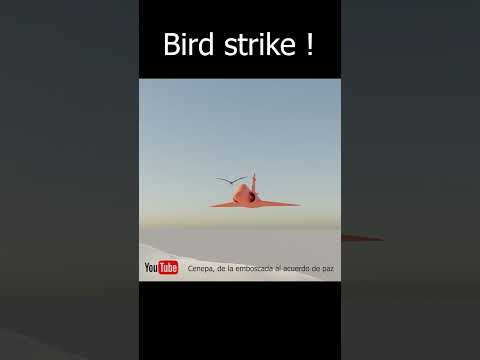 Bird Strike -