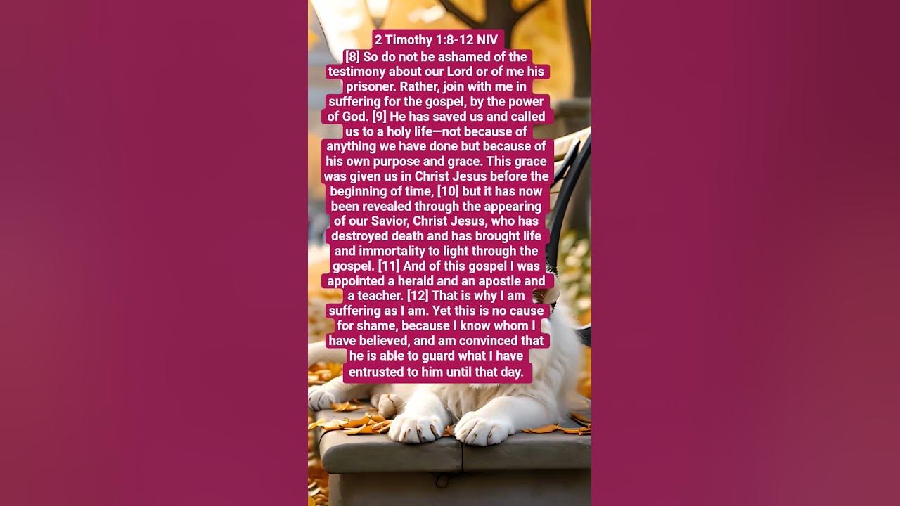 (2 Timothy 1:8-12) #bibleverse #lawofattraction #biblepassage #motivation