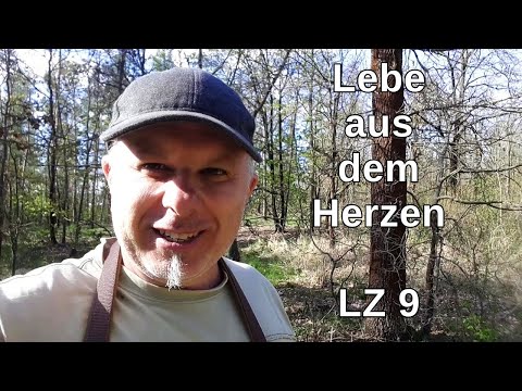 2020 - Numerologie im Wald - Lebenszahl 9 - Utopia