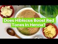 Does Hibiscus Help Boost Red Tones in Henna? Let&#39;s talk about it