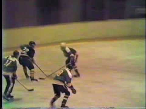 1987 Flint Men's Ice Hockey At The IMA (Perani Are...