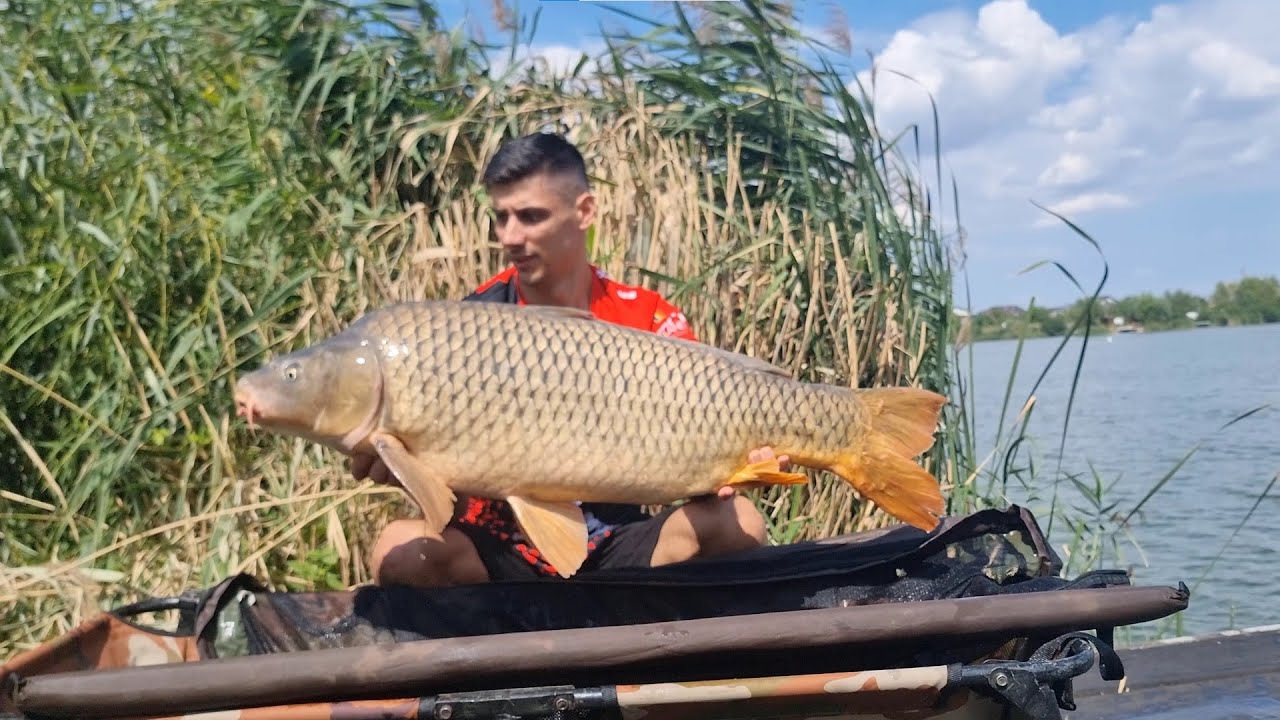 Nicmar Clinceni, Stand 7 - Sondat, Nadit, Pescuit!