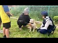 【迷子犬】発見から保護までの一部始終！まさかの結末…😭