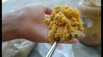 Bài mồi ủ chua chuyên câu cá chép - trắm - trôi và rô phi vô cùng hiệu qủa