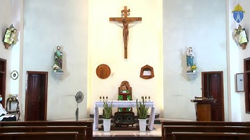 🔴Trực Tuyến Thánh Lễ Ngày 04/07/2021: Chúa Nhật XIV Thường Niên Lúc 19h30