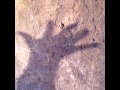 カナデモノ バイバイまたね 試聴