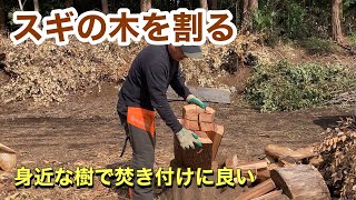 身近で扱い易い樹　杉を割ります。