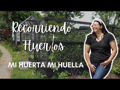 Touring an ORCHARD in PUERTO VARAS | My garden my footprint