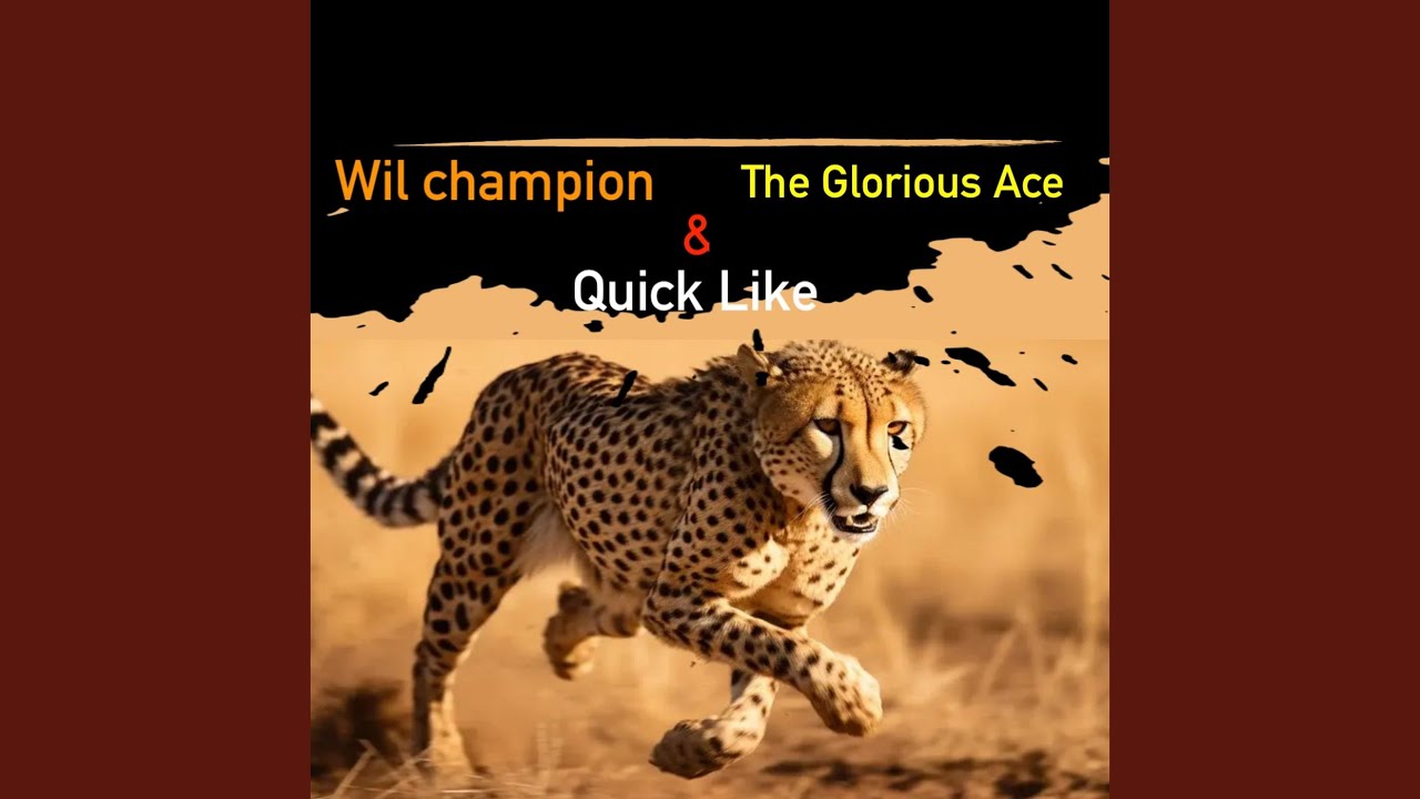 Guarda Quick Like su YouTube Guarda Quick Like su YouTube
