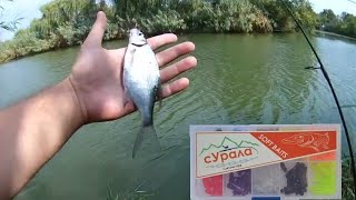 картинка: Мормышинг с Prestige на новом водоёме. Обкатал новые приманки!!!