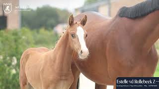 Video Estelle vd Rollebeek Z