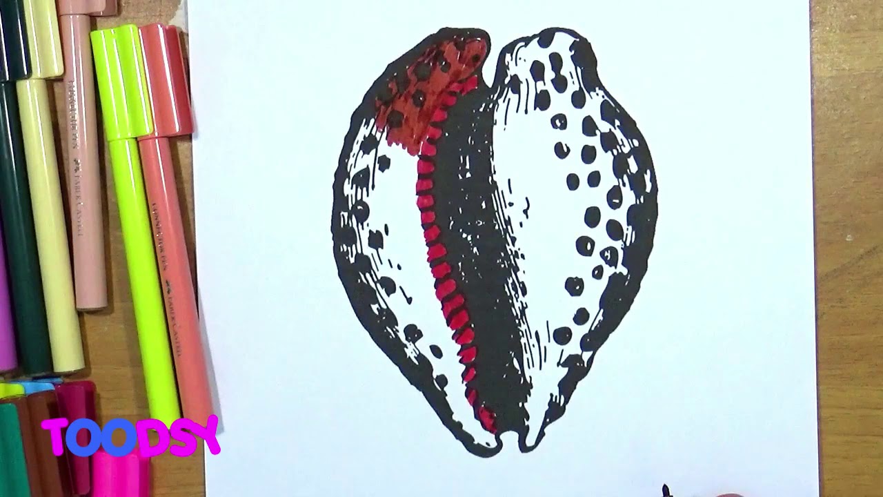How To Color Realistic Atlantic Bubble Seashell Coloring Page Youtube