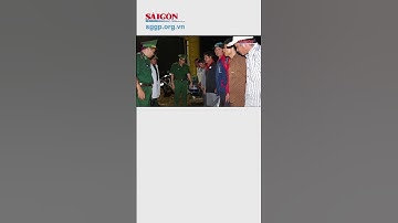 Tàu hàng đâm chìm 2 tàu cá, 11 ngư dân được cứu sống