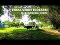 NATURE TRIP   FARM TOUR IN TERRA VERDE ECO FARM (MARAGONDON, CAVITE)