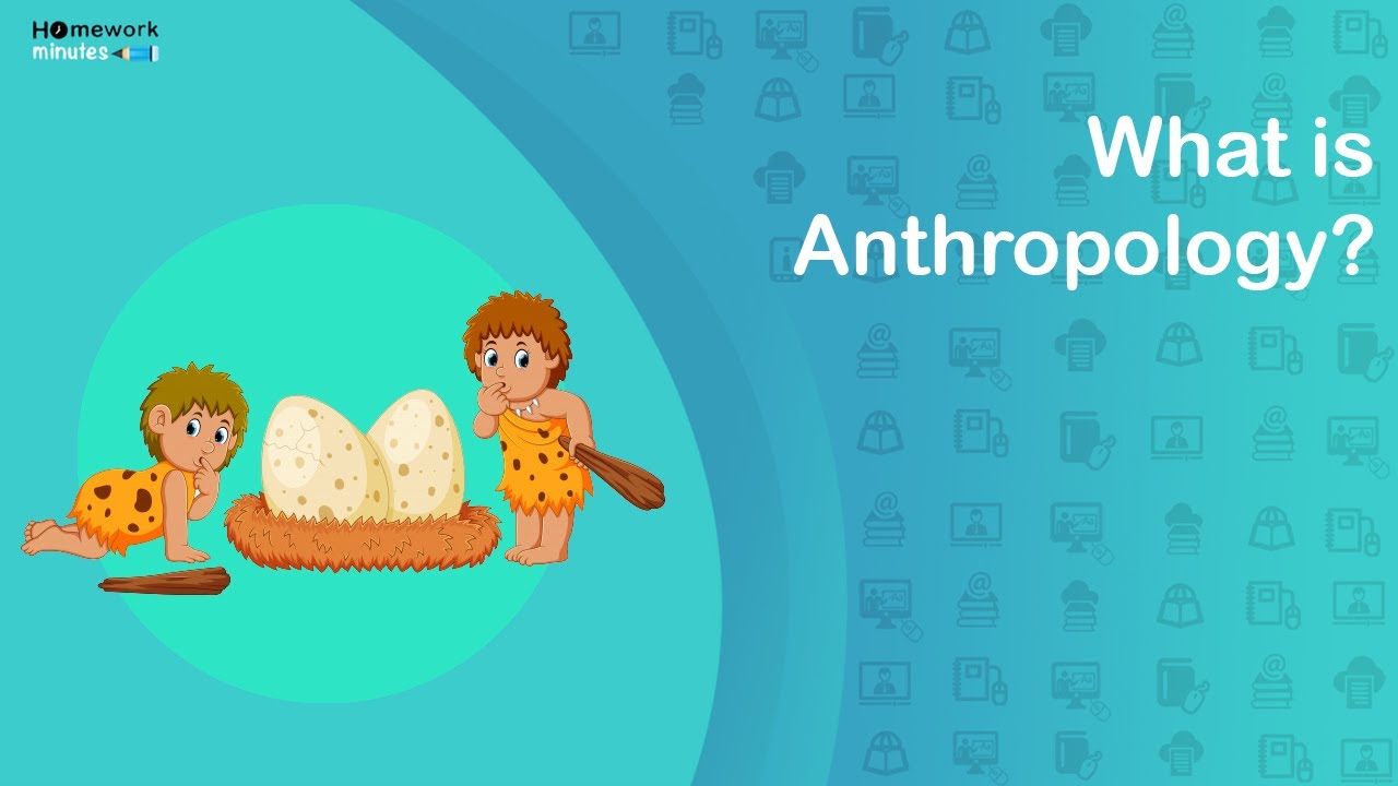 Anthropology definition and career options homework minutes youtube