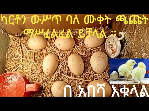 ቪዲዮ: KKM - ምንድን ነው? የ KKM ጥገና, መመሪያዎች