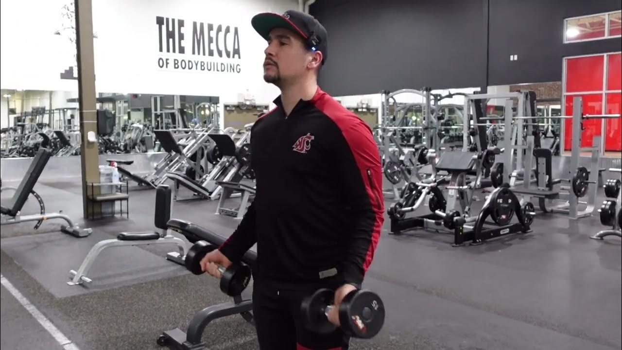 Dumbbell Bicep Curls En Español (Curl De Bicep con Mancuerna) YouTube