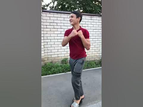 бачи юрт такси