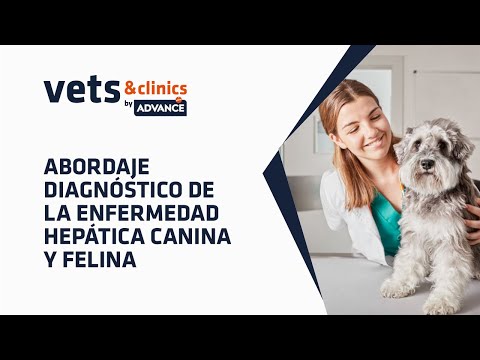 Video: Insuficiencia Hepática Aguda En Perros »Wiki Ùtil Insuficiencia Hepática Aguda En Perros