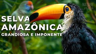 A GRANDIOSA AMAZÔNIA | Uma Jornada Extraordinária - Documentário Completo