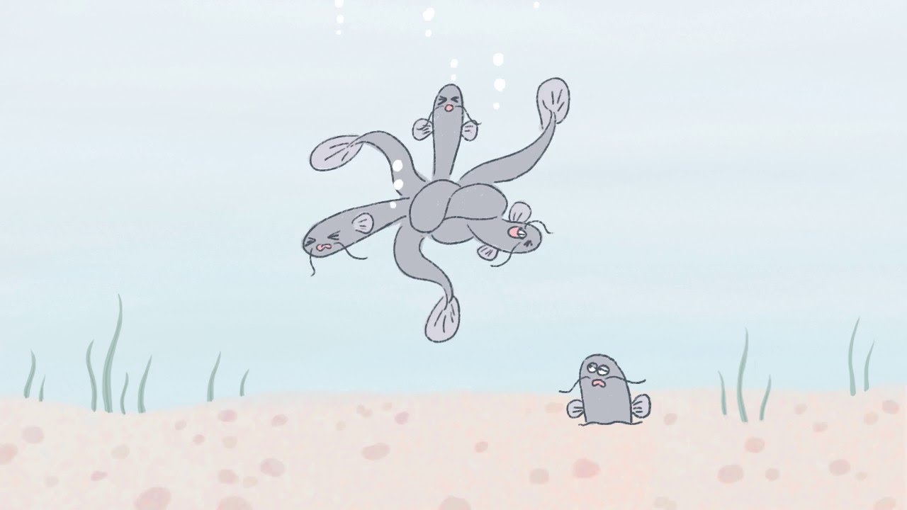 全国ワンポイント方言出雲弁 はいごん Colocal コロカル ローカルを学ぶ 暮らす 旅する