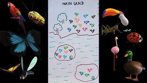 Island Biogeography, Insular biogeography, Arthur Wilson Theory