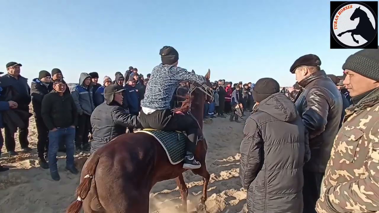 27-ноябрь 2022 Тенизбай сундет той