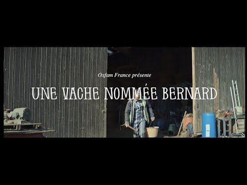 Une vache nomme Bernard