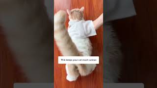 Download Lagu Clean your cat’s butt with a 🧤 MP3