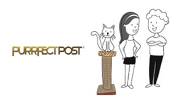PurrfectPost WhiteBoard - Cats Need Scratching Posts