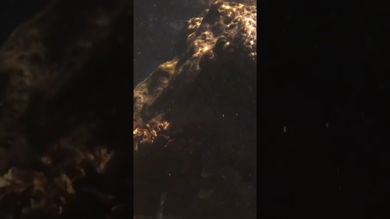 GUARDATE COSA HO TROVATO SOTT’ACQUA 😮🔝 