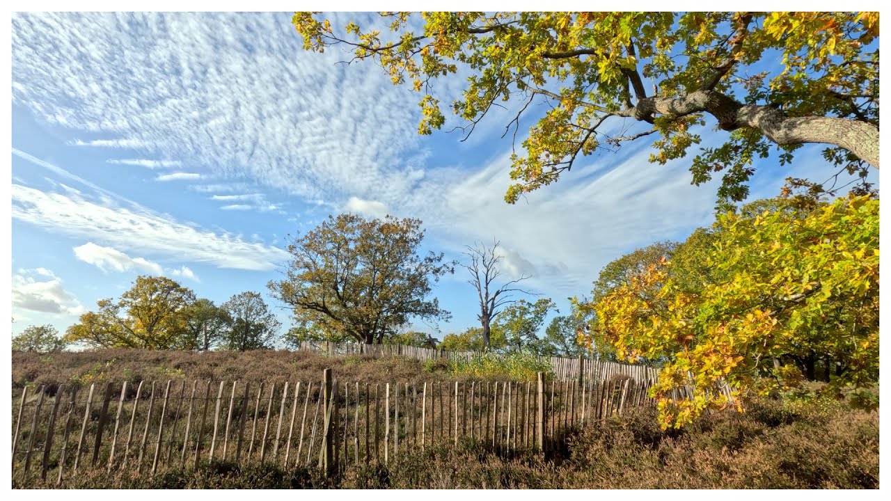 Croham Hurst, South Croydon - History, Autumn Colours and Exercise