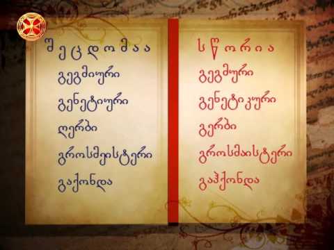 გავუფრთხილდეთ მშობლიურ ენას! 17