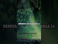 Что такое паттерн кс2 #паттернcs2 #cs2скины #cs2трейд #bluegem #редкиепаттерны