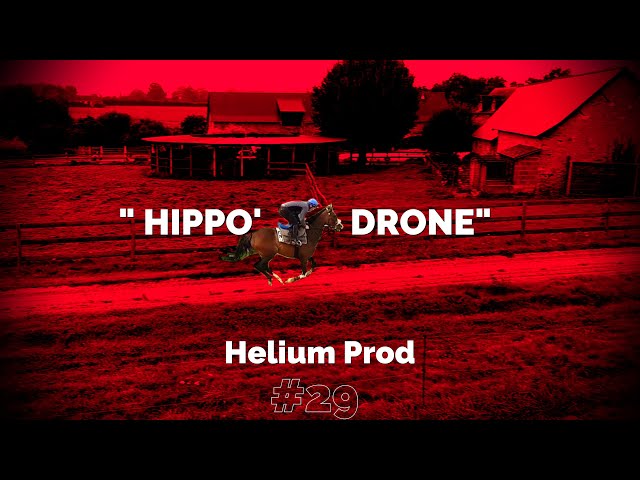 "HIPPO'DRONE" - 2021