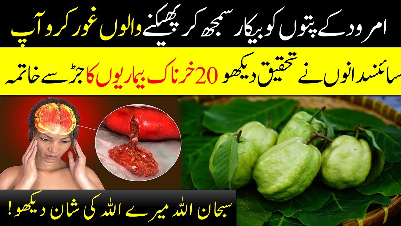 Amrood Ky Patton Ky Fowaid | امرود کے پتوں سے 20 خطرناک بیماریوں کا علاج | MT