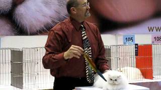 MVI_7483.avi