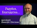 Радуйся, Благодатна... Проповідь прот. Димитрія Шостенка