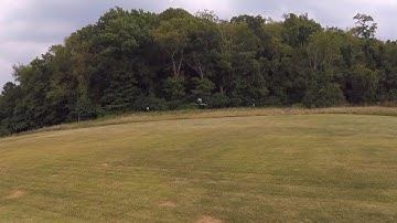 Blade mCP X BL2 inverted