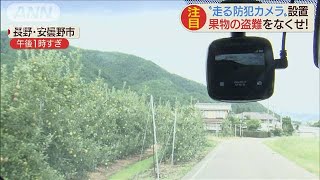 果物の盗難をなくせ！“走る防犯カメラ”設置(2020年9月10日)